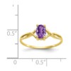 10k Polished Geniune Amethyst Birthstone Ring - Image 4